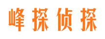 察雅寻人公司